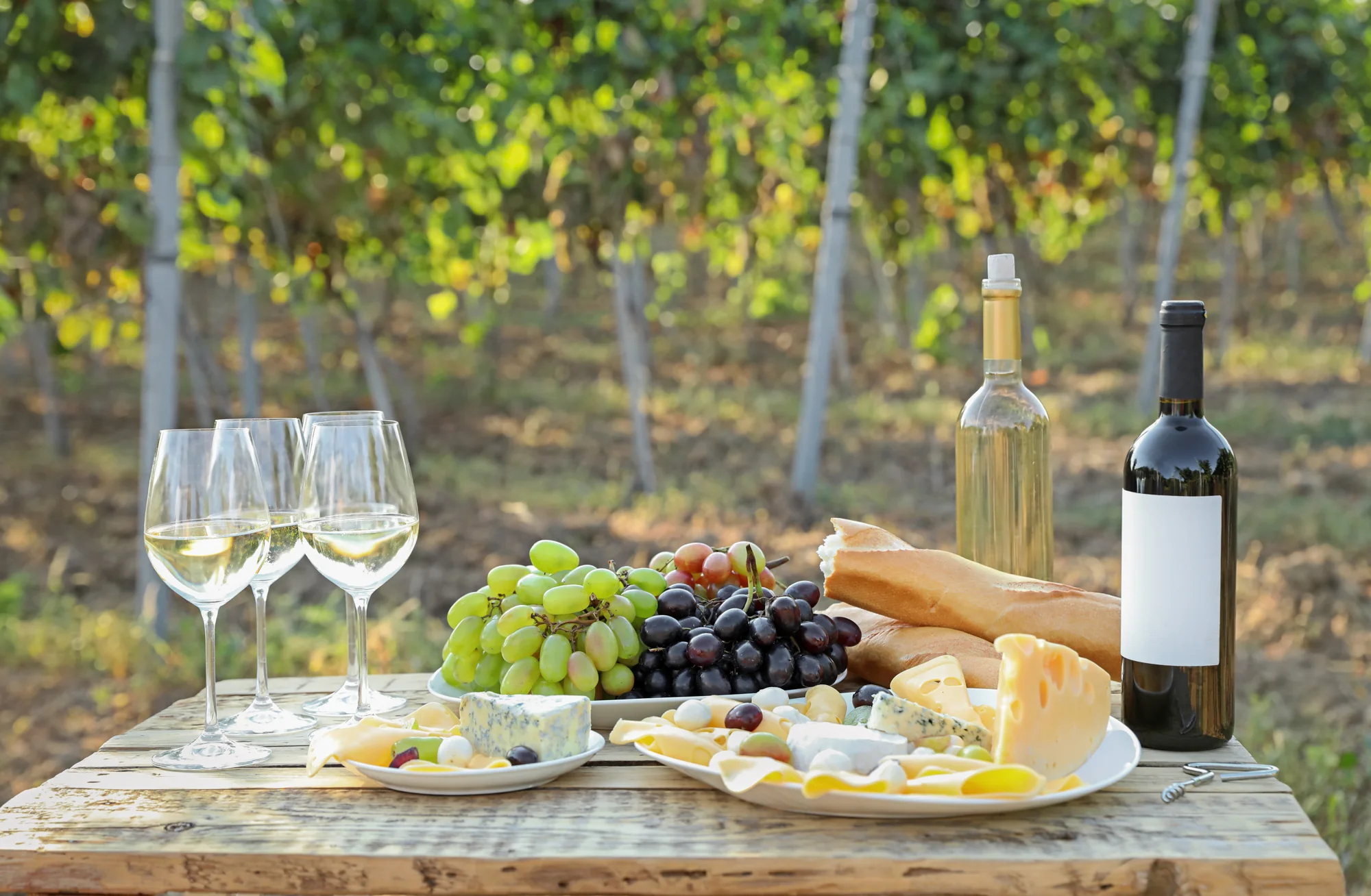 Vino e formaggio