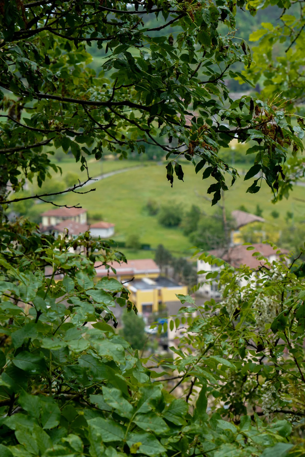Il paesaggio verde intorno a Zavattarello